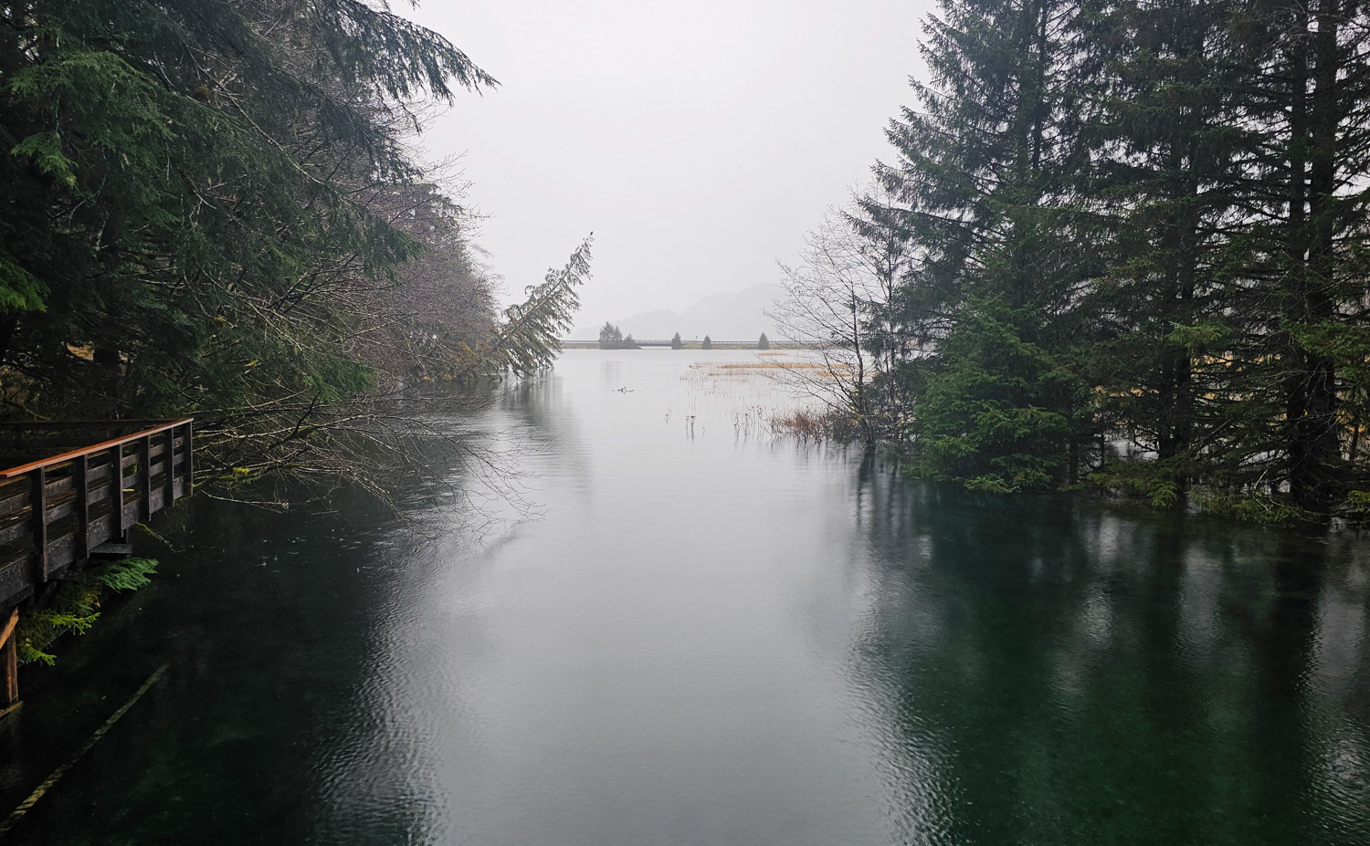 High Tide at Starrigavan Creek