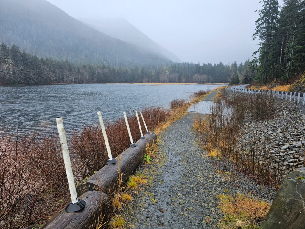 High Tide along Nelson Logging Road