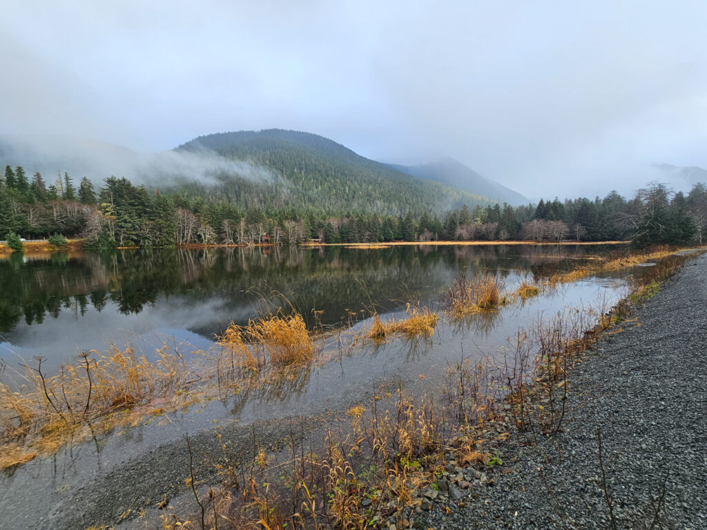 High Tide along Nelson Logging Road