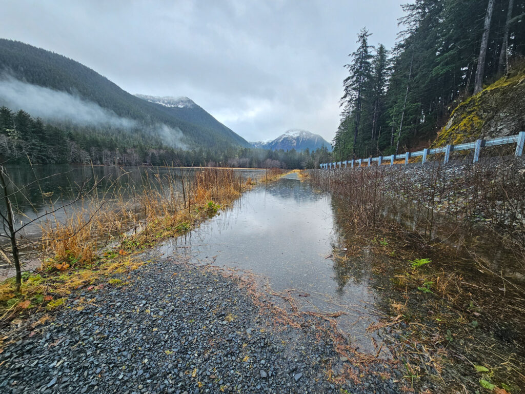 High Tide along Nelson Logging Road