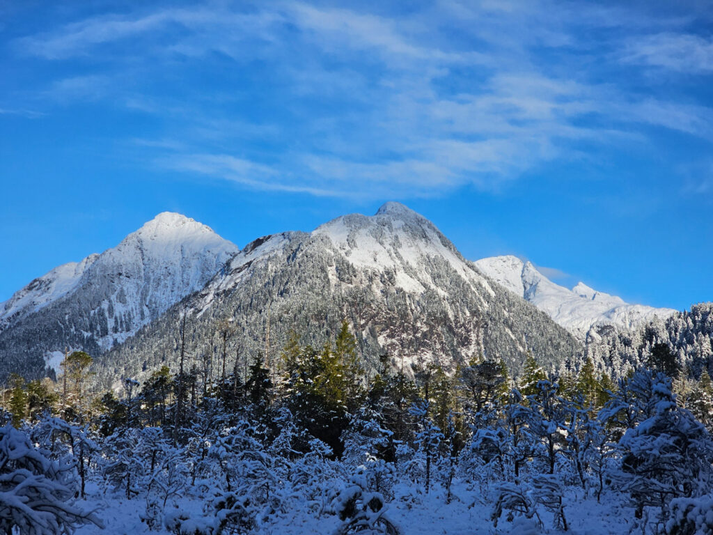 The Sisters in Snow