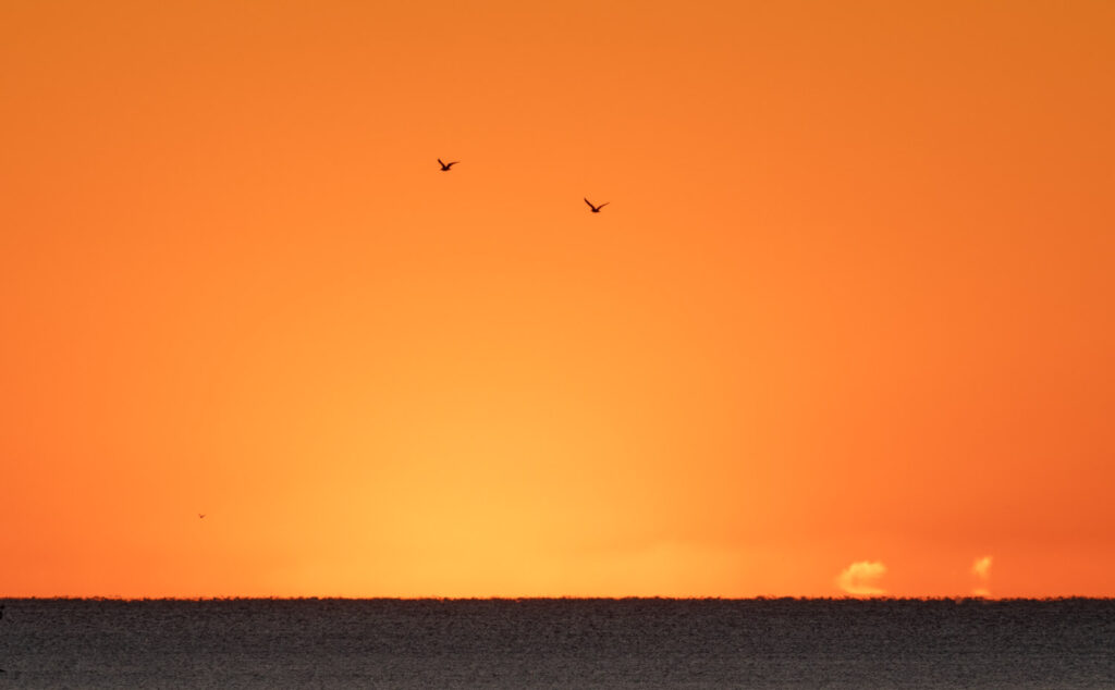 Orange Skies over Sitka Sound