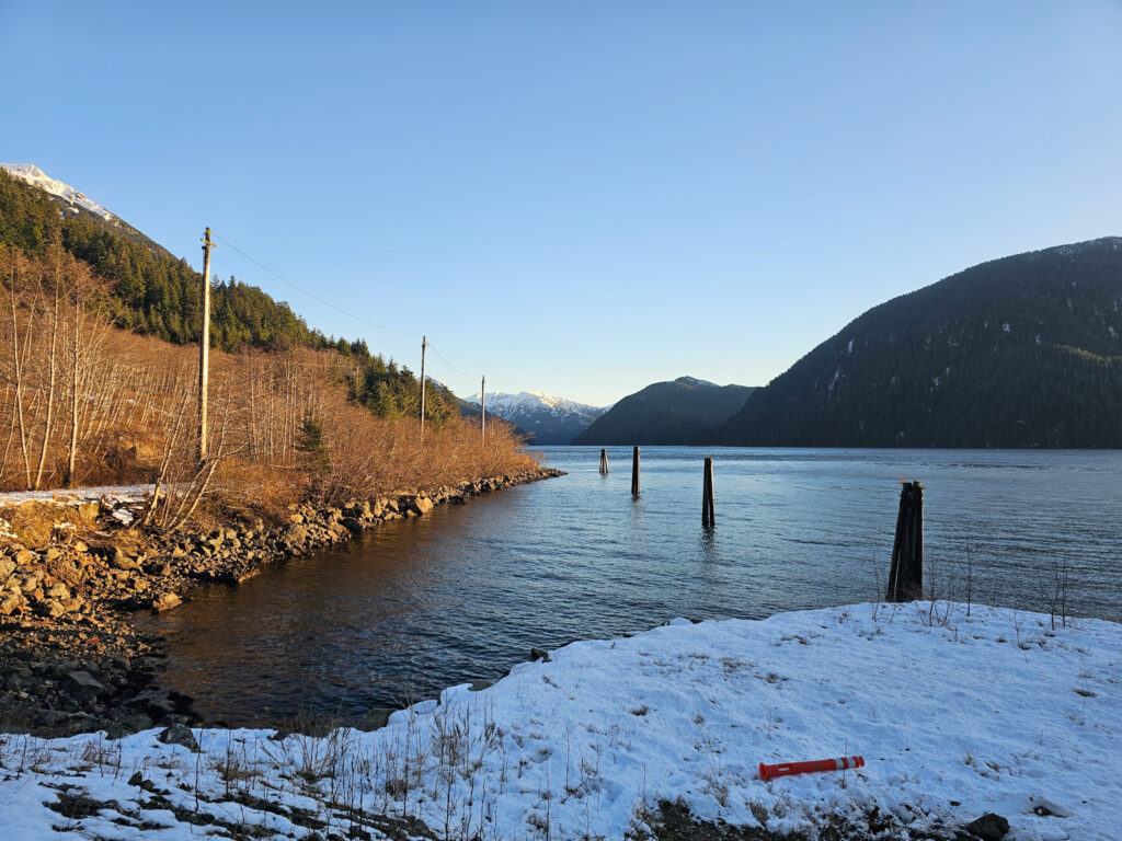 Pilings at Sawmill Cove