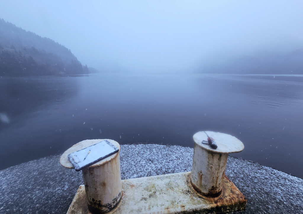 Snow in Sawmill Cove