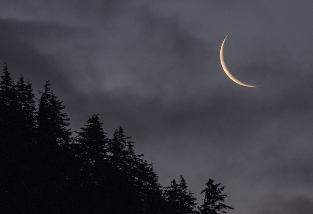 Thumbnail Crescent Moon