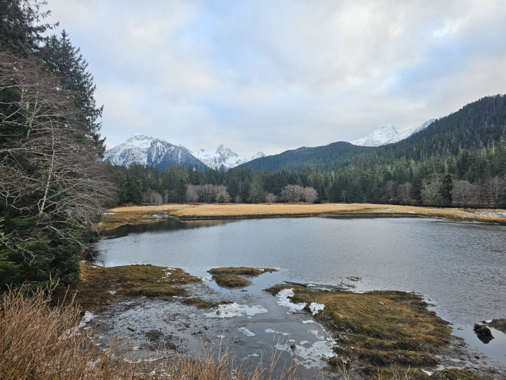 Starrigavan Estuary