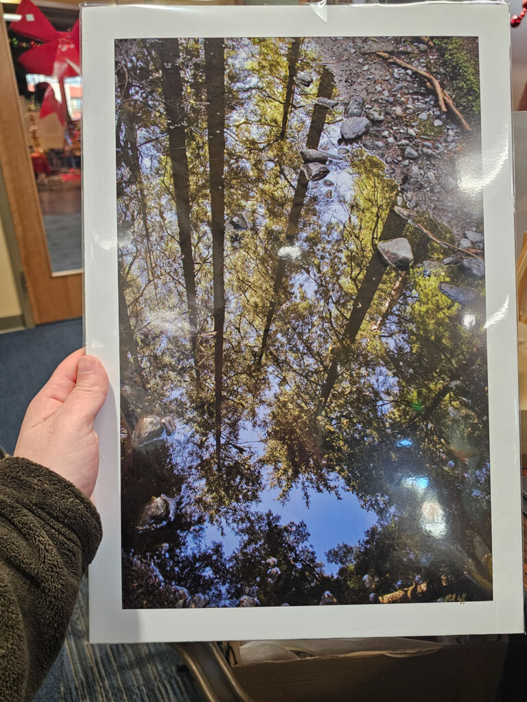 Reflection Print