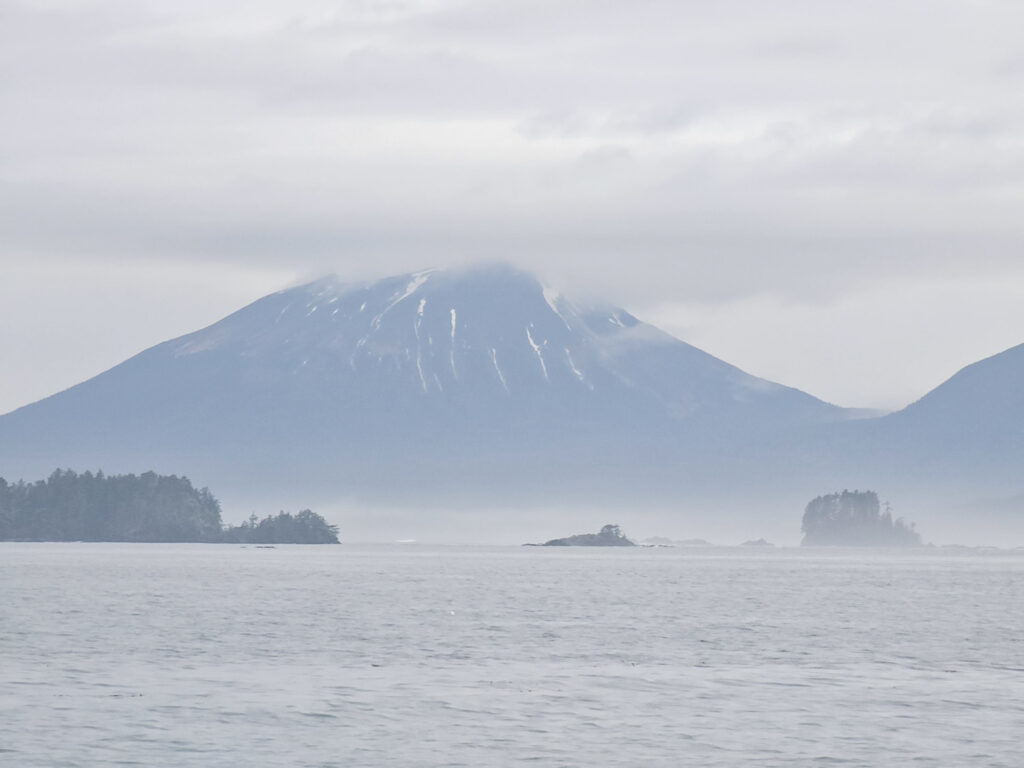 Misty Ocean View