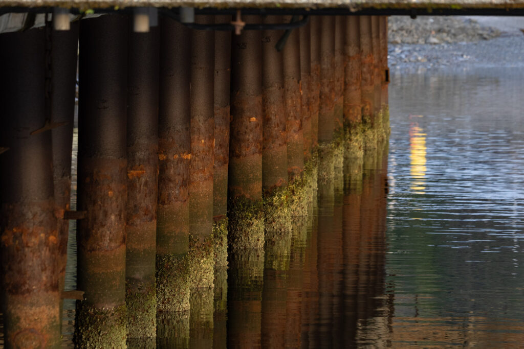 Dock PIlings