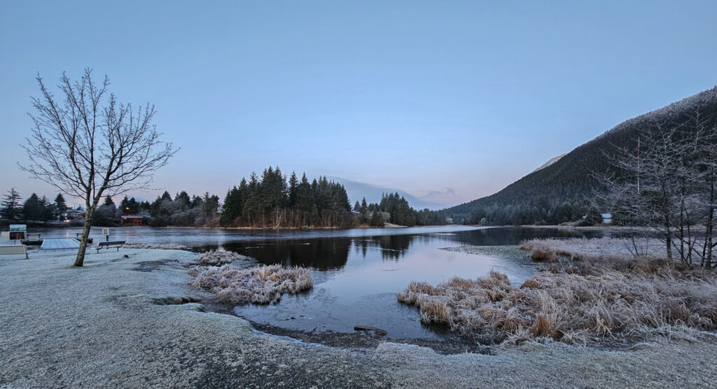 Frosty Swan Lake