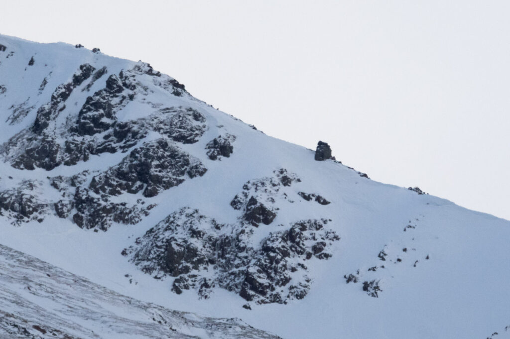 Ptarmigan Rock