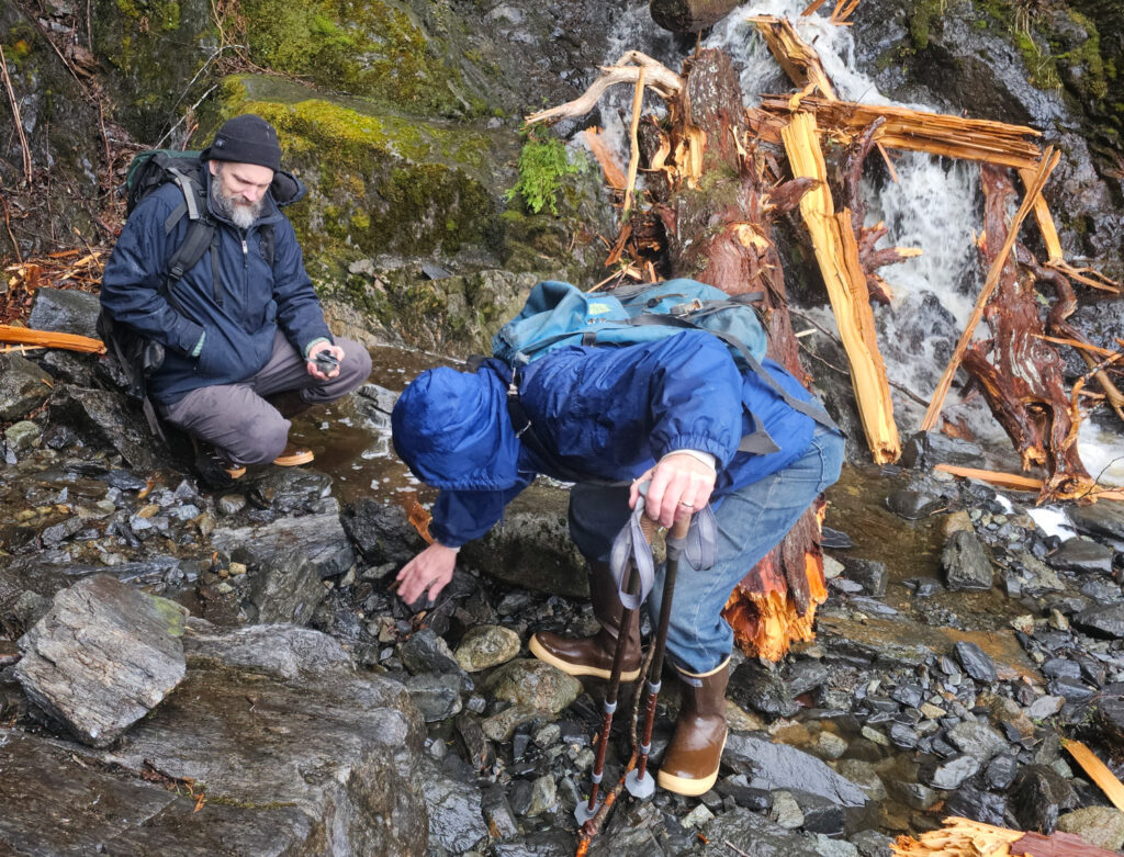 Looking for Rocks