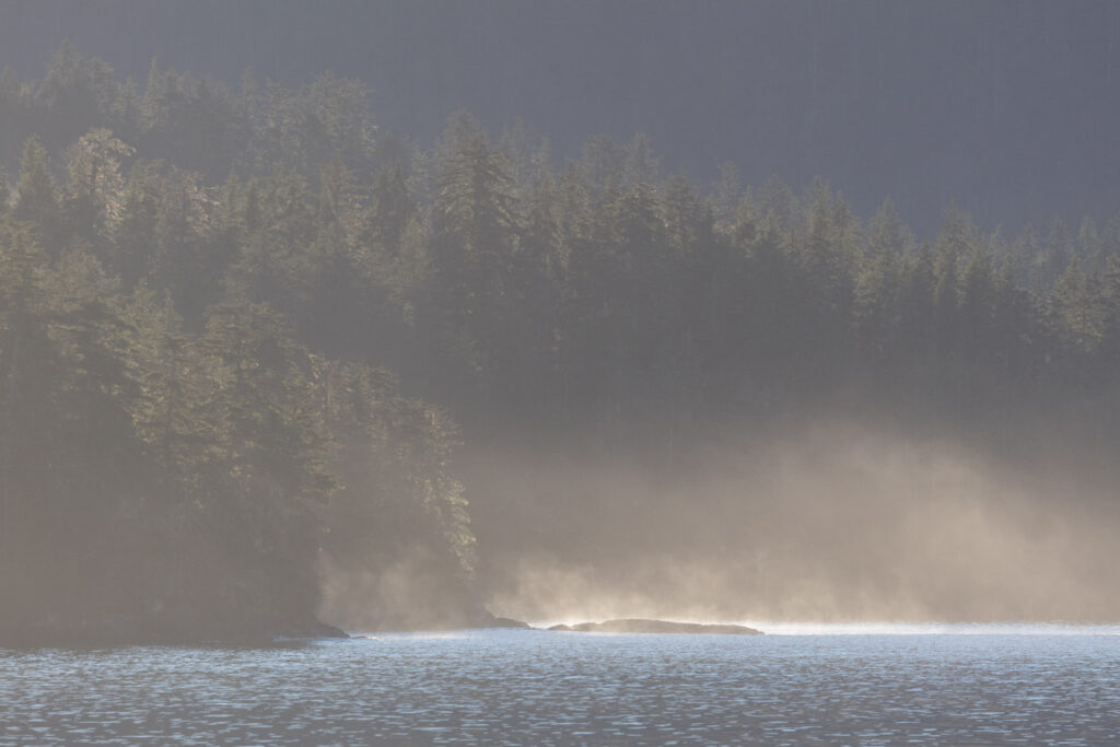 Mist over the Water