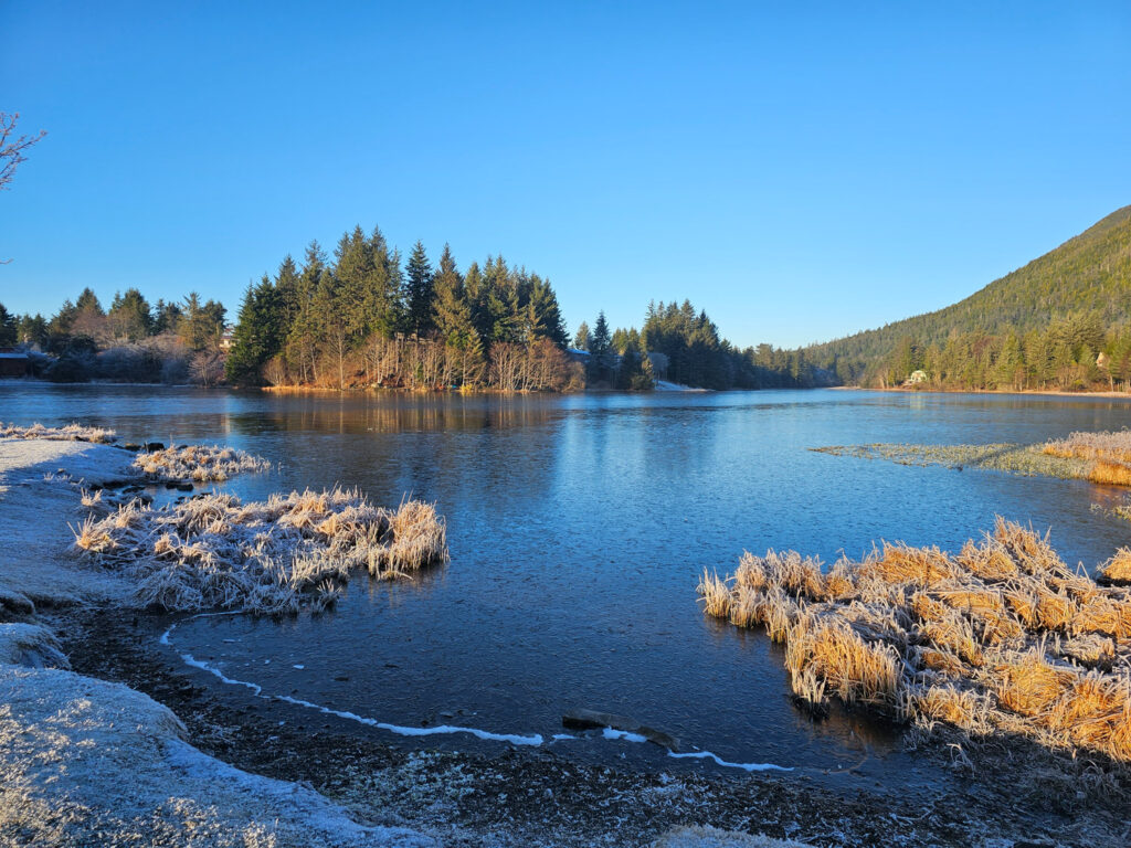 Frost and Ice at Swan Lake