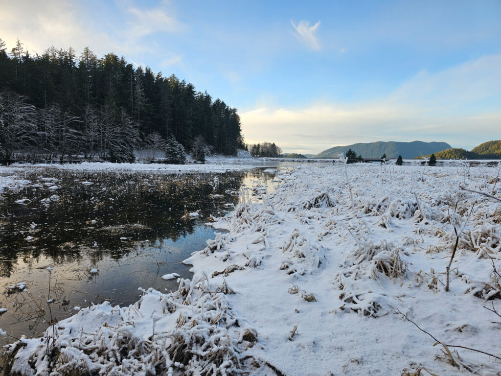 Frosty Flood Tide