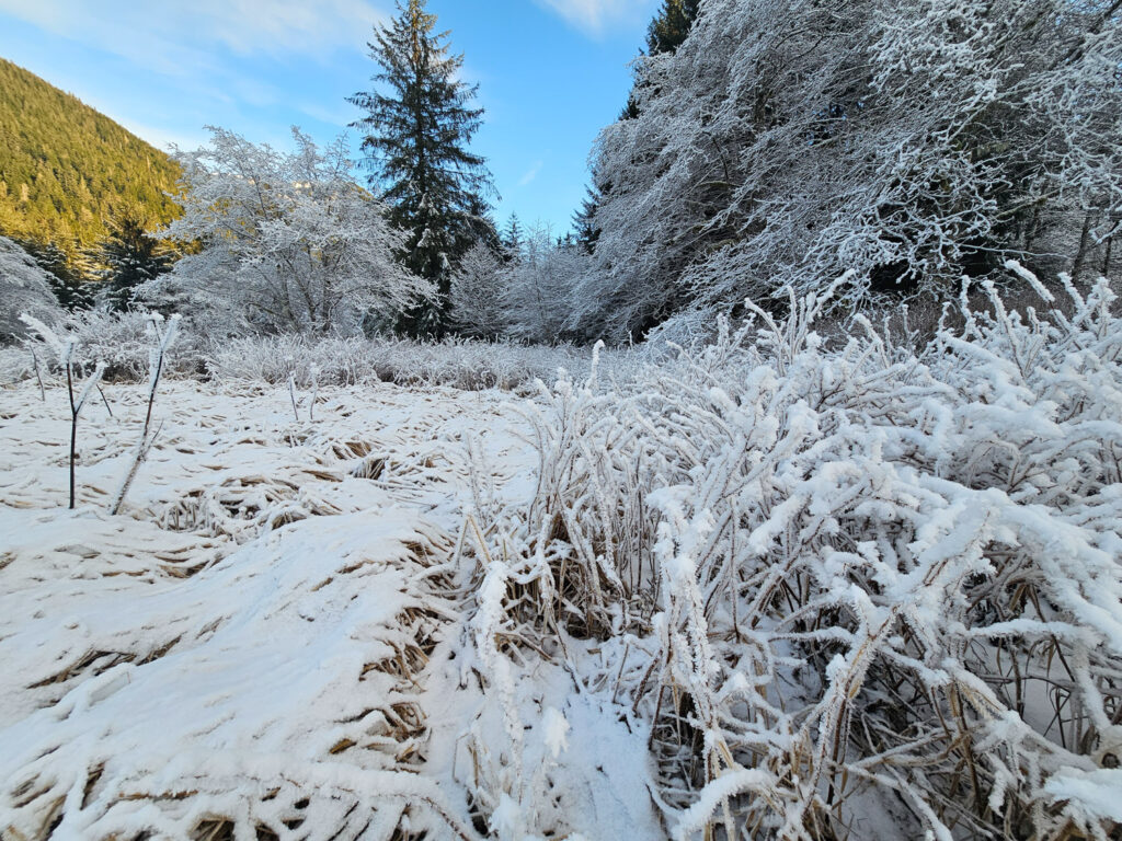 Heavy Frost at Starrigavan Estuary