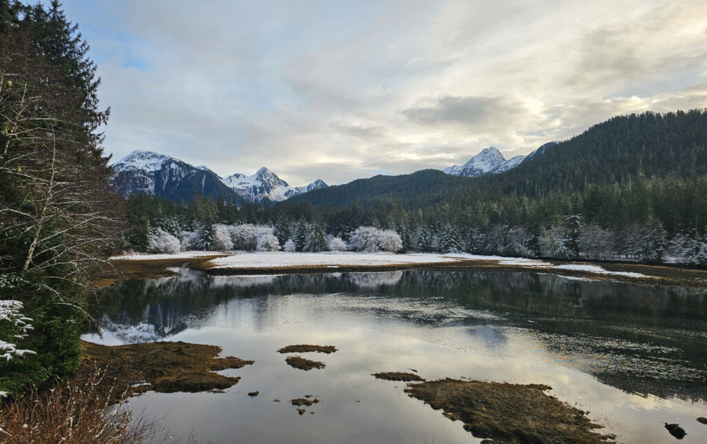 Starrigavan Estuary