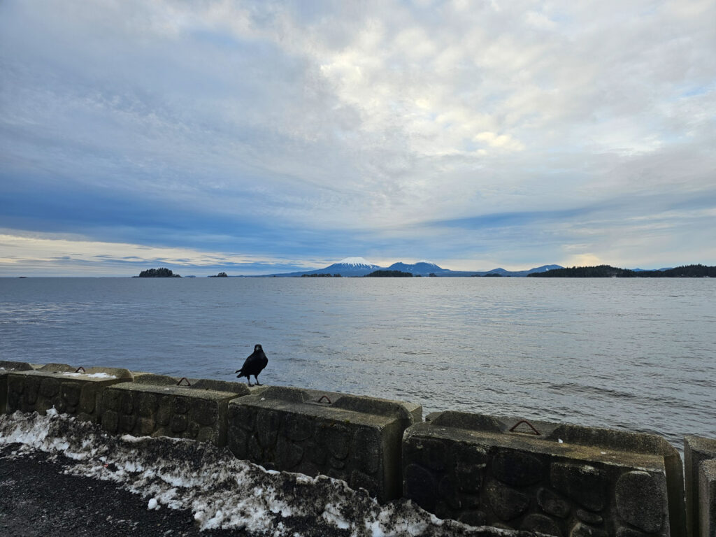 View from Sea Mart Parking Lot