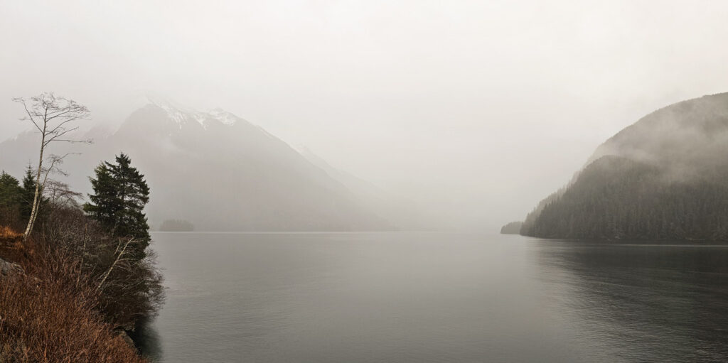 Misty Silver Bay