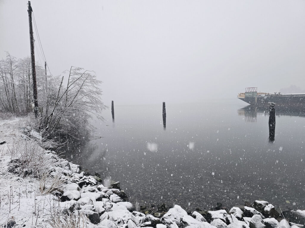 Snowy Sawmill Cove