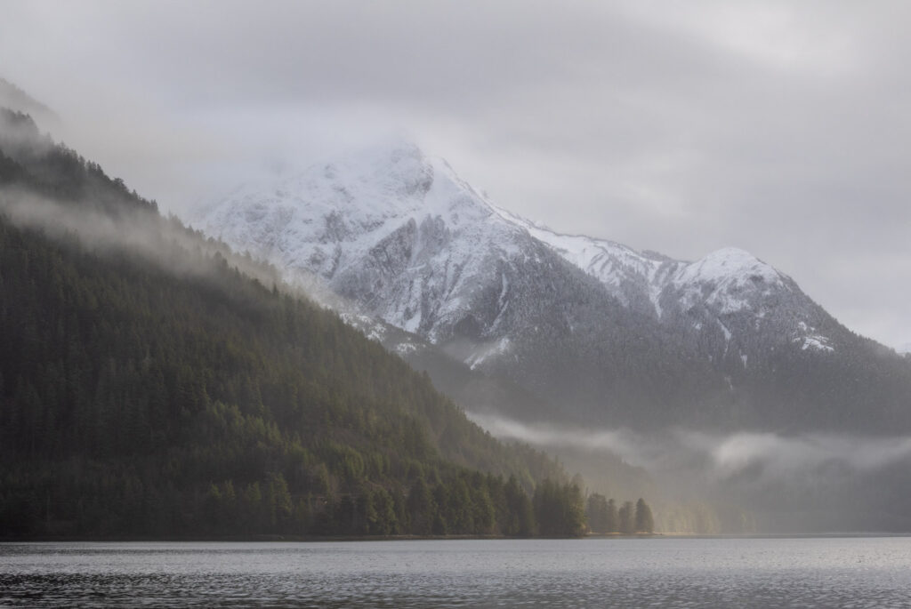 Silver Bay Shoreline