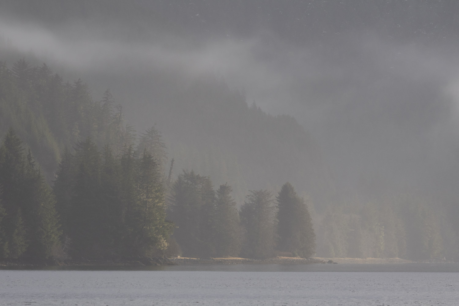 Misty Silver Bay Shoreline