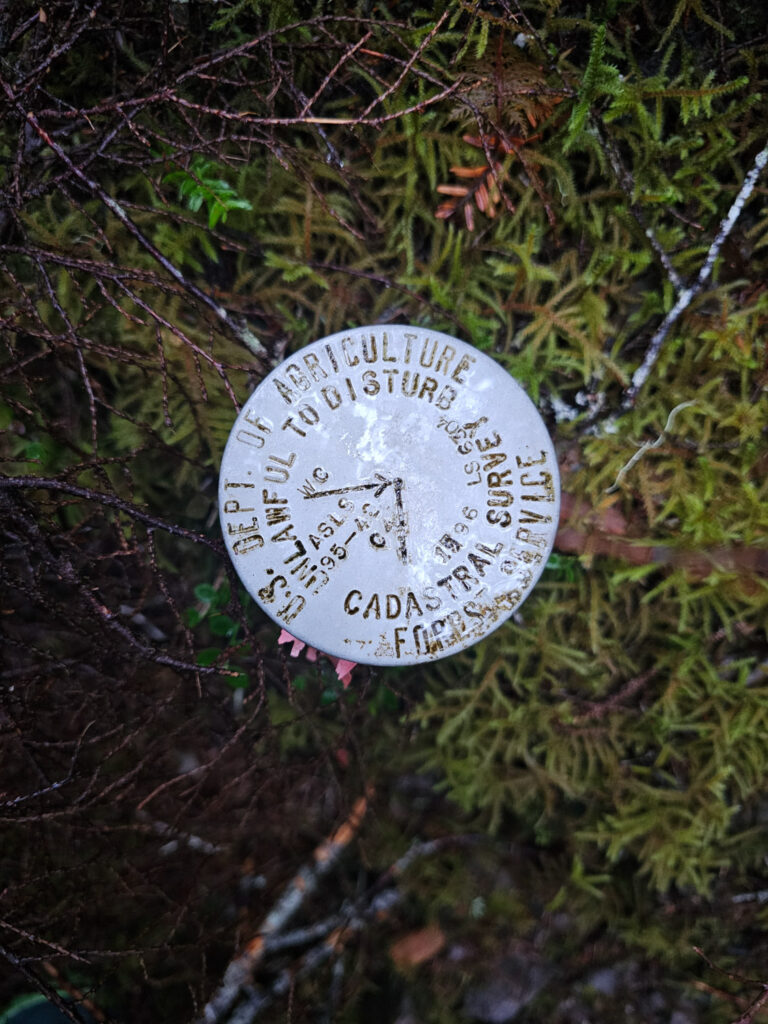 Survey Marker