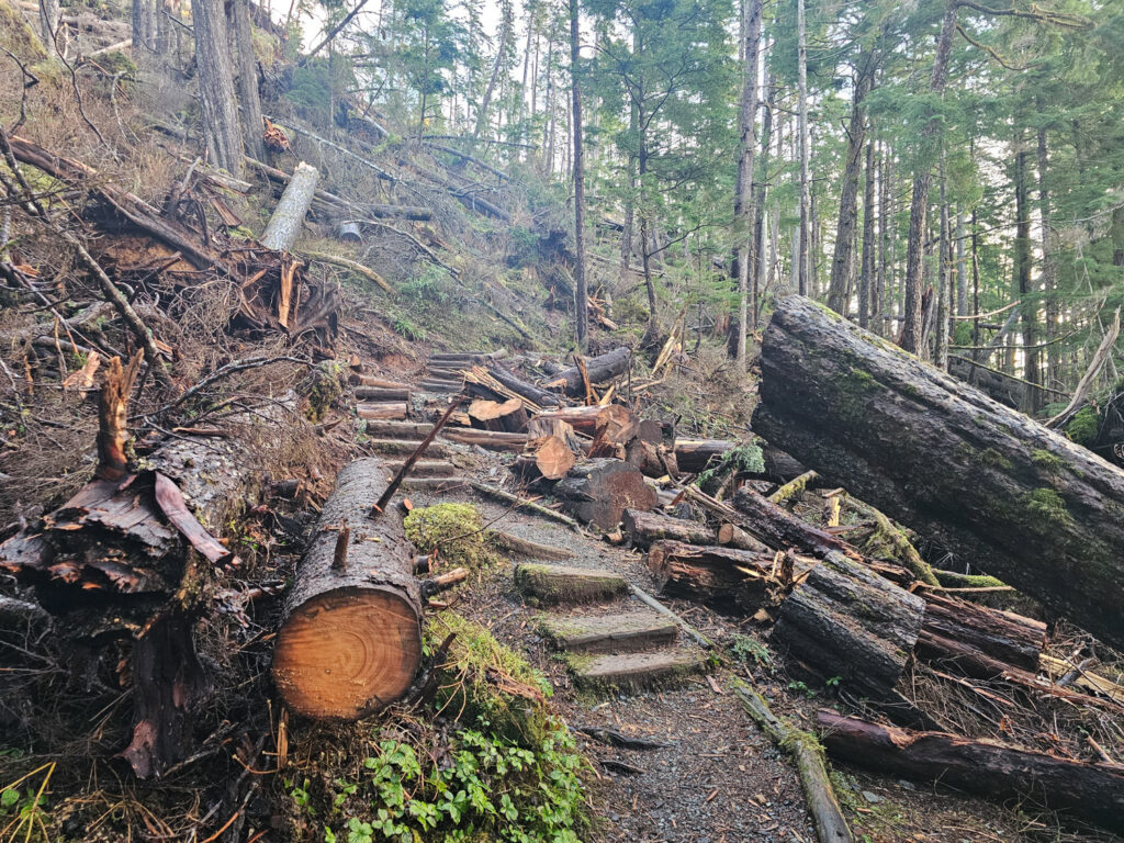 Cleared Trail