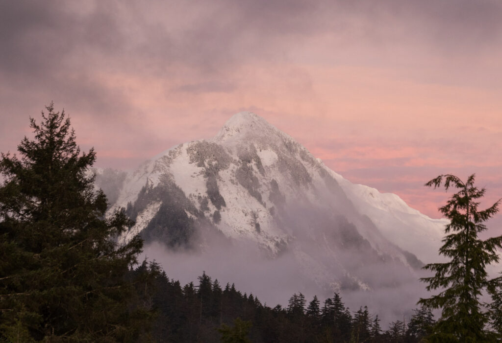 Pink Skies over the Middle Sister