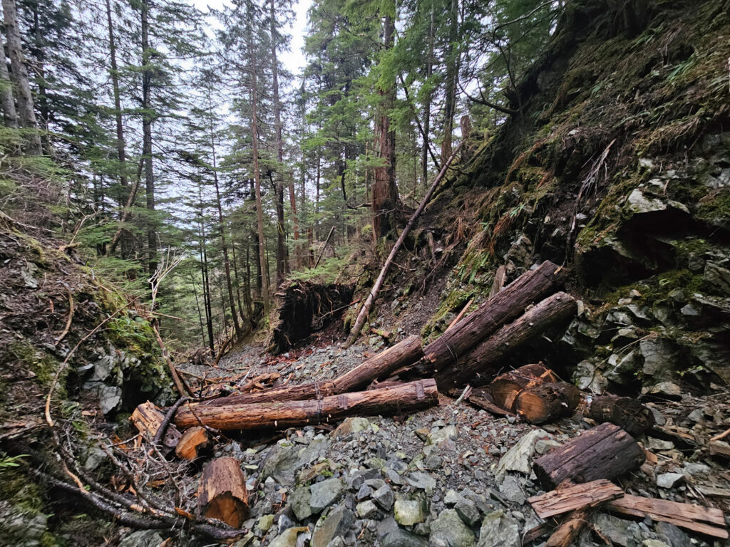 Bridge Remains