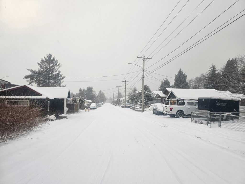 Snowy Neighborhood