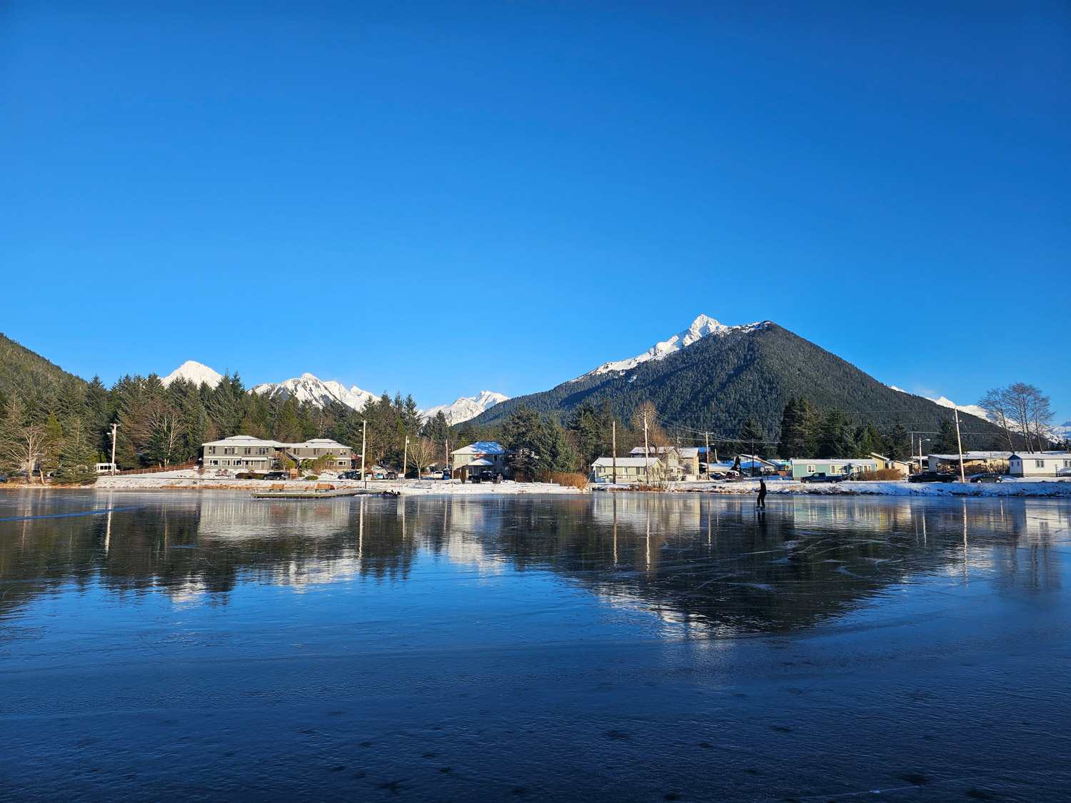 View from a Frozen Swan Lake