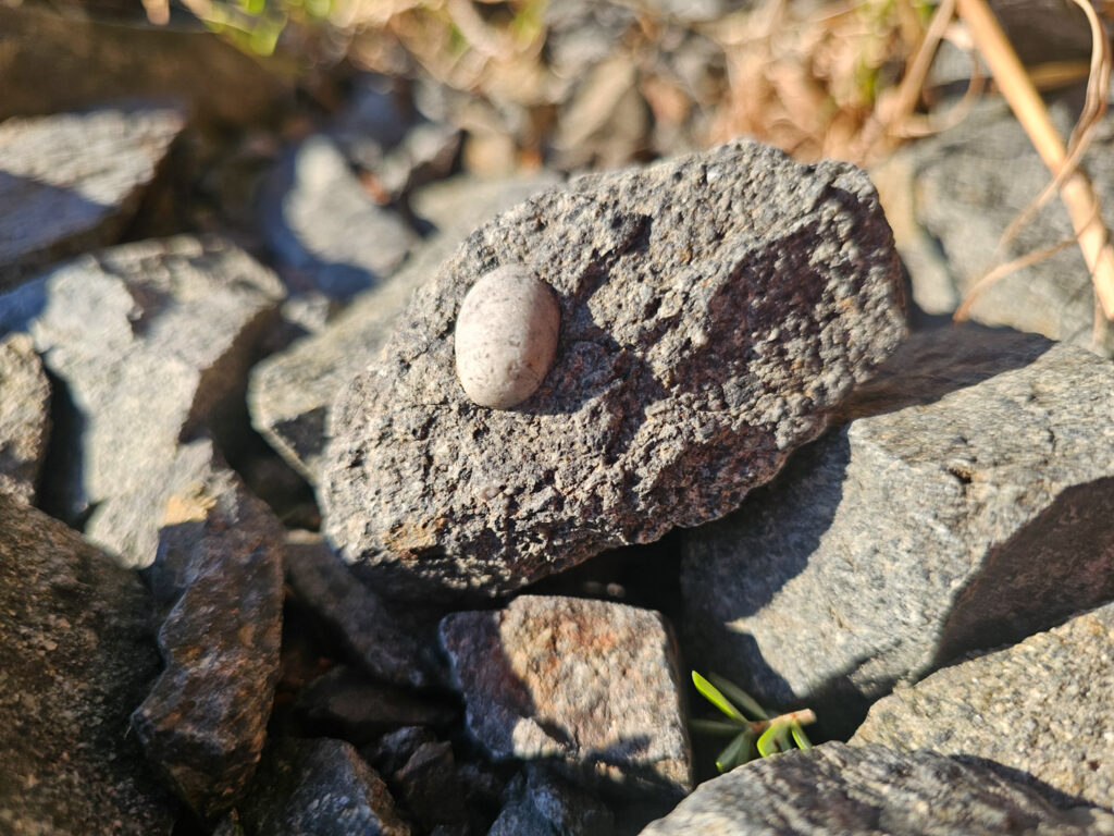 Rock in a Rock