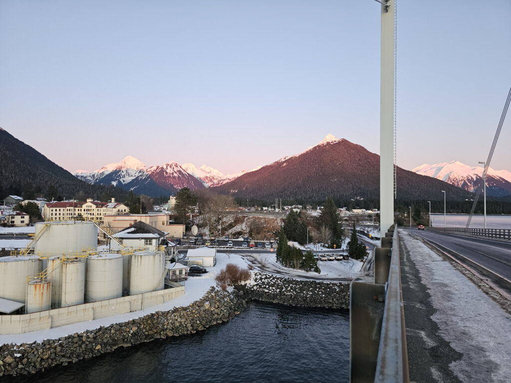 Snowy Sitka