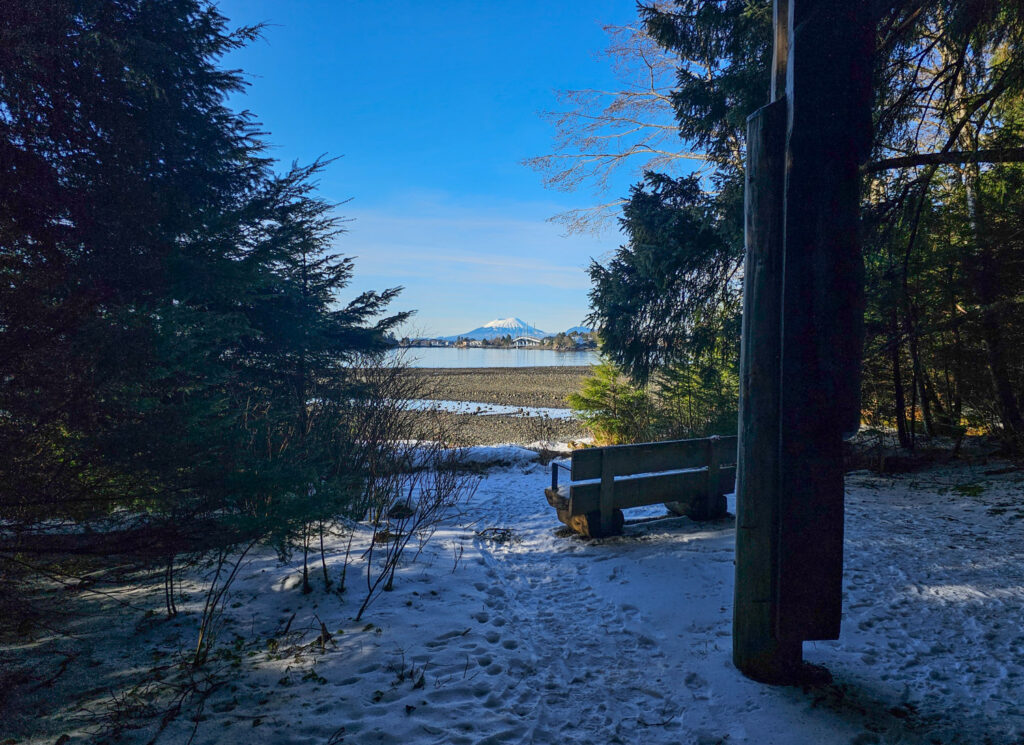 Bench with a View