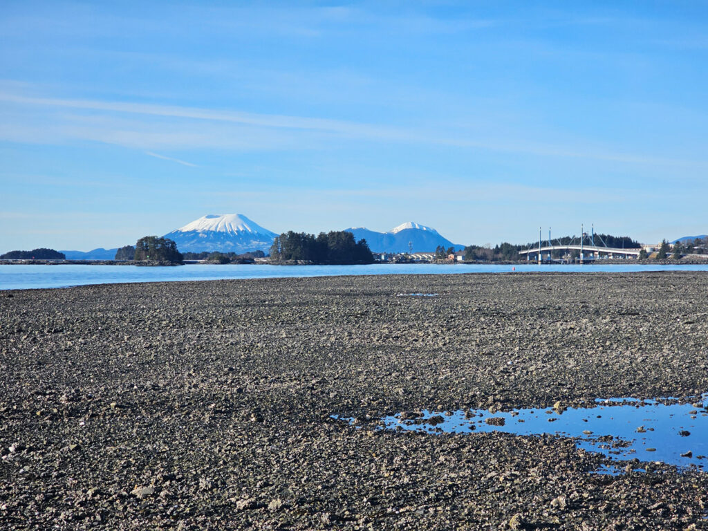 Tide Flats at Totem Park