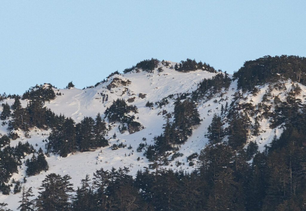 Picnic Rock Snow