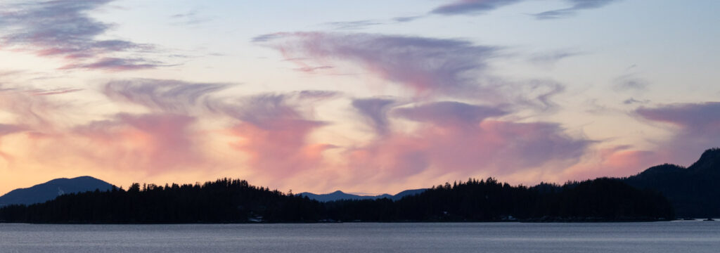 Jellyfish Clouds