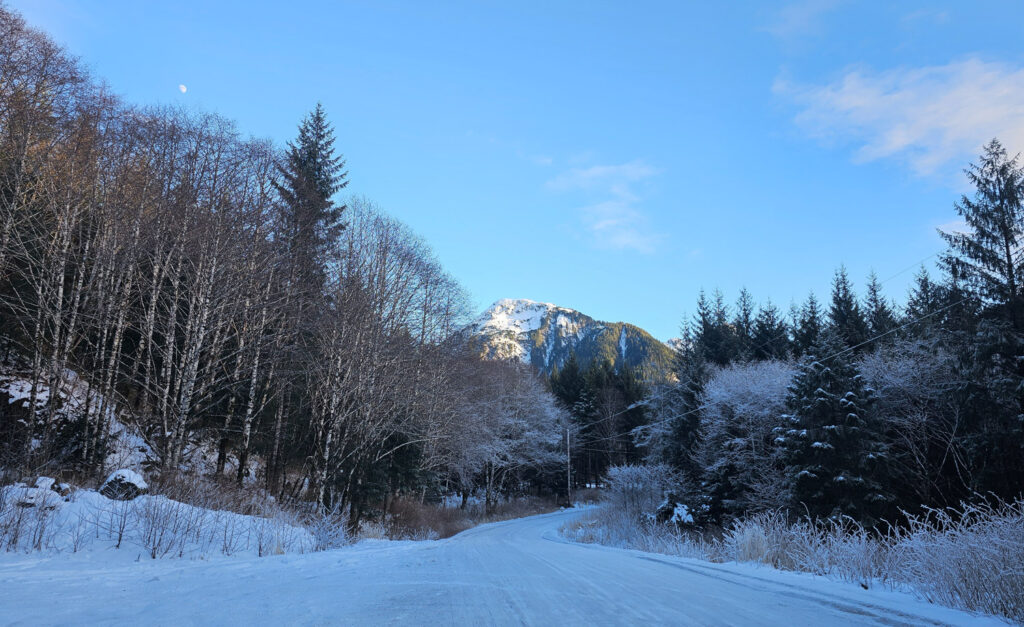 Nelson Logging Road