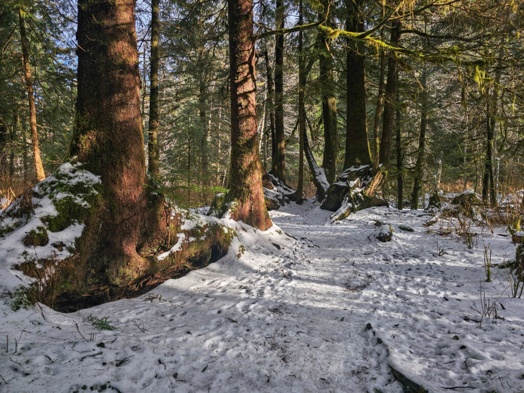 Indian River Trail