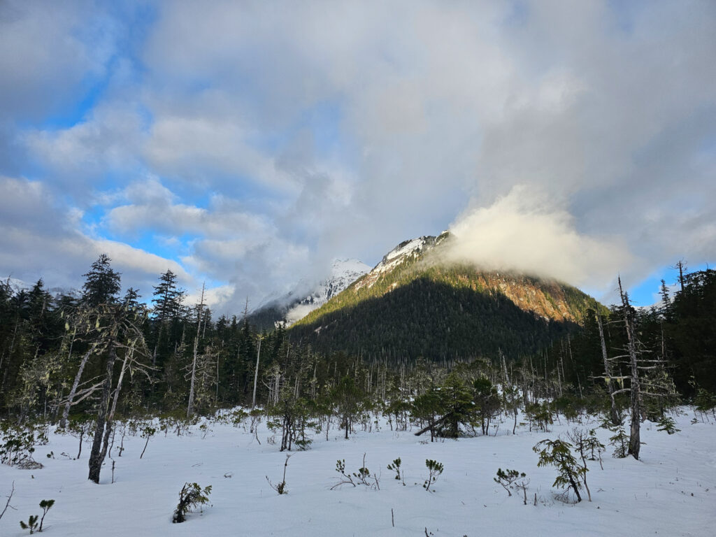 Indian River Valley Muskeg