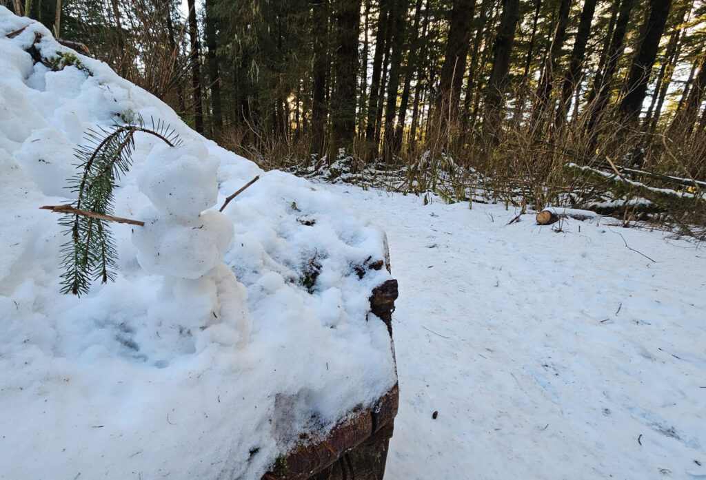 Trailside Snowman