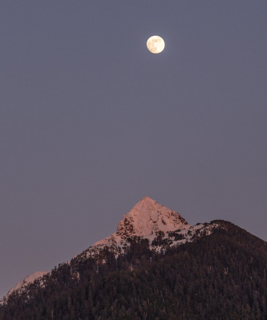 VErstovia and Moon