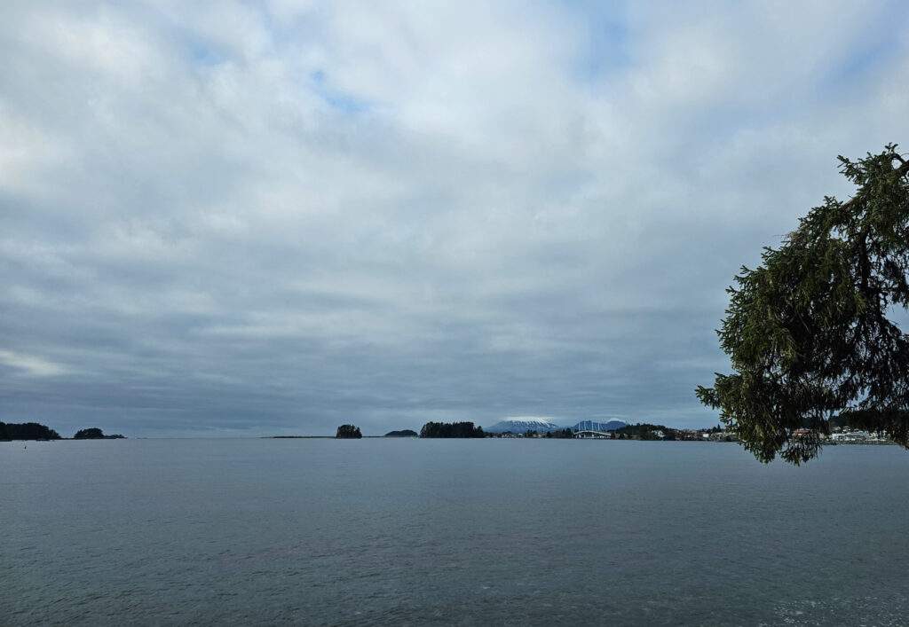 View from Totem Park