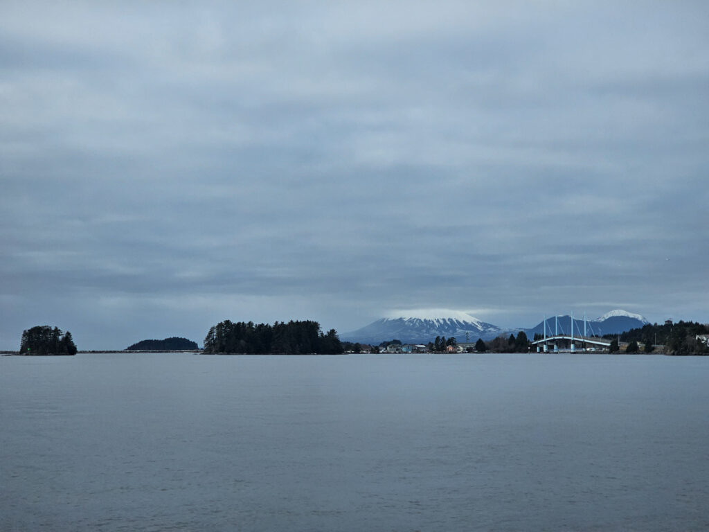 View from Totem Park