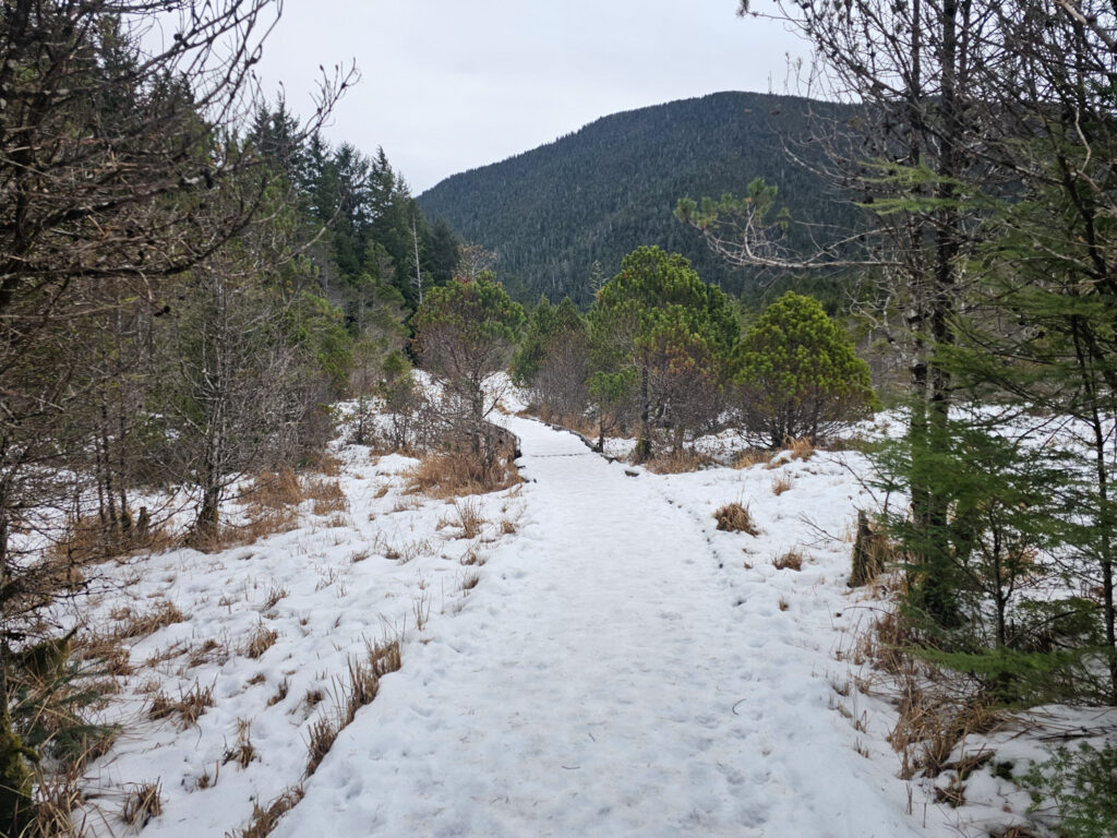 Baranof Street Connector