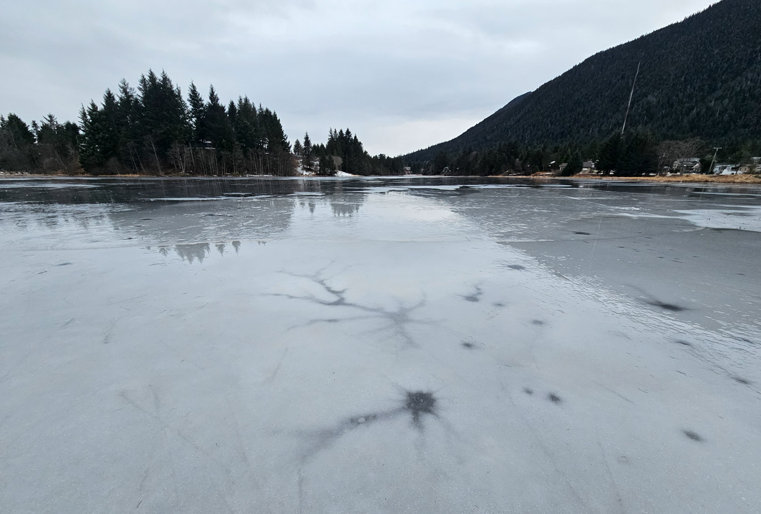 Icy Swan Lake