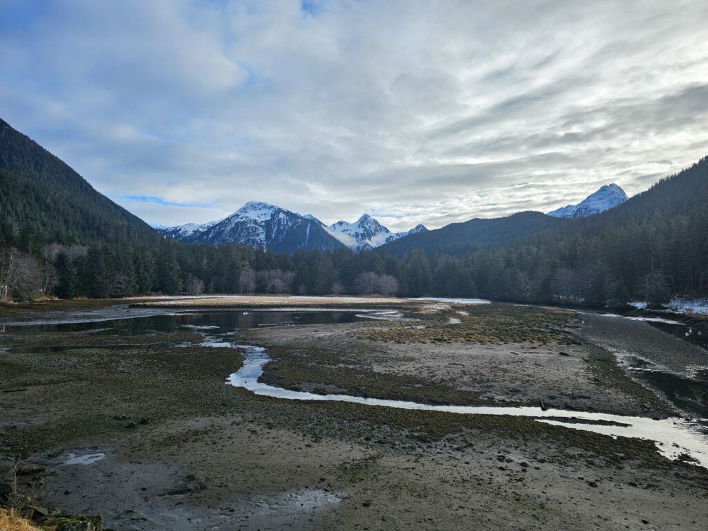 Starrigavan Estuary