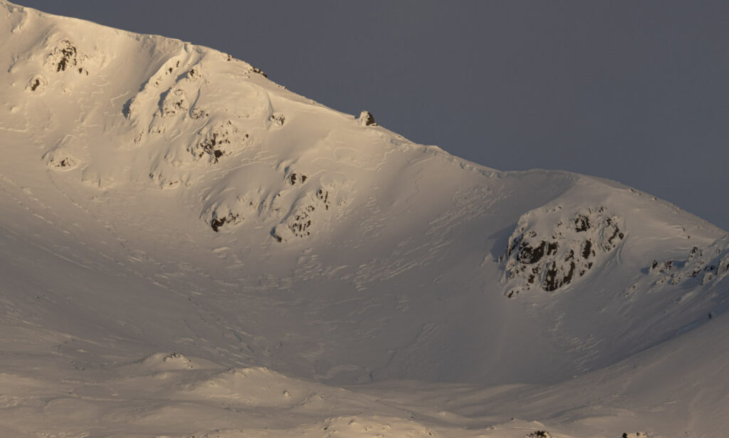 Textured Snow