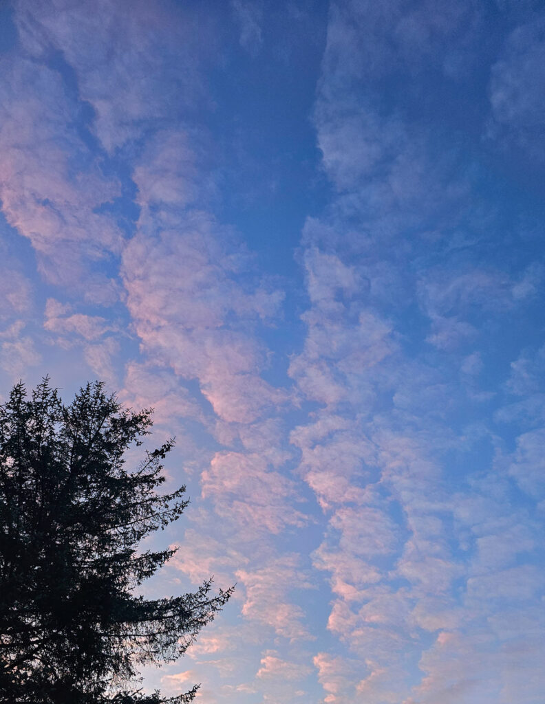 Pink CLouds and Blue Sky